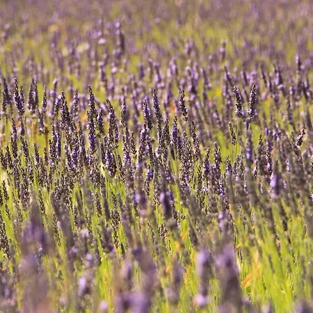 Golf Azur * Saint-Raphael (Var)